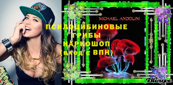 мдма Богданович