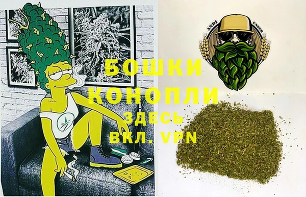 spice Богородицк