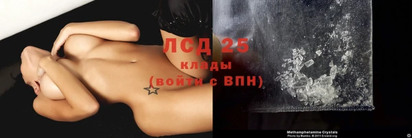 spice Богородицк