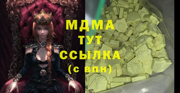 spice Богородицк