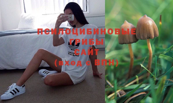 наркотики Богородск