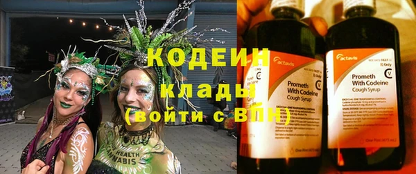 spice Богородицк