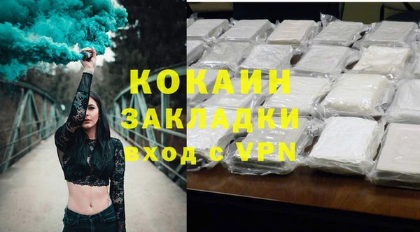 spice Богородицк