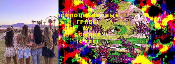 мдма Богданович