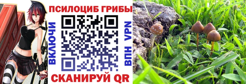 Галлюциногенные грибы GOLDEN TEACHER  хочу наркоту  Тотьма 